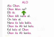 O Sesi İle İlgili Okuma Metni