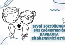 Sevgi sözcüğünün size çağrıştırdığı kavramları