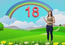 20’ye Kadar 1’er Ritmik Sayma | 1. Sınıf Saymayı Öğreniyorum