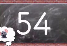 1’er Ritmik Sayma 100’e Kadar | 100’e Kadar Saymayı Öğreniyorum | 1. Sınıf Matematik
