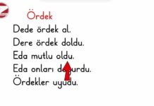 D Sesi Okuma Çalışması | 1. Sınıf Okuma Yazma Öğreniyorum | Yeni Müfredat 2024